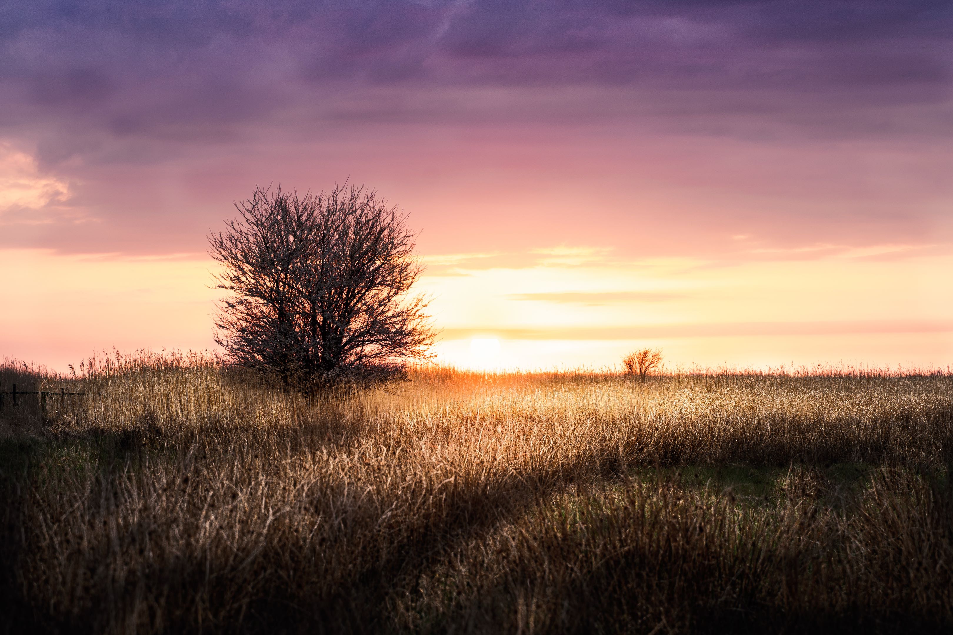 Langzeitbelichtung IMG_0653